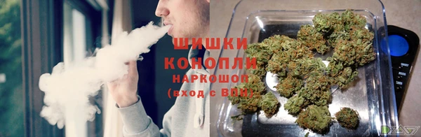 дживик Абинск