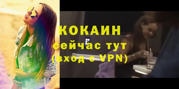 тгк Абаза
