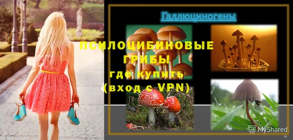 тгк Абаза