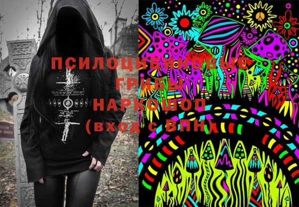 тгк Абаза