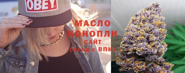 дживик Абинск