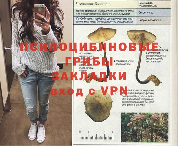 дживик Абинск