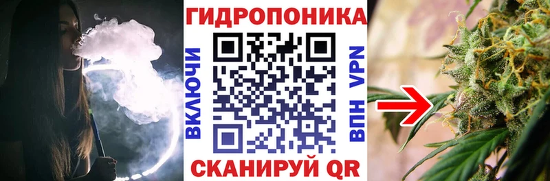 Шишки марихуана VHQ  Вологда 